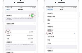 苹果电脑清理内存空间垃圾的方法（快速清理内存空间，提升苹果电脑性能）