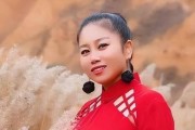 天子T6（极致奢华与强大动力的完美结合）