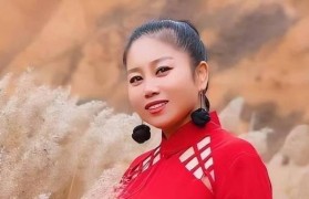 天子T6（极致奢华与强大动力的完美结合）