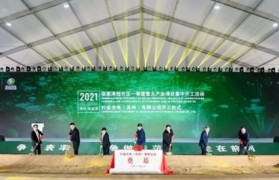 盛波光电（以技术创新和卓越品质为核心，实现产业升级与可持续发展）