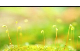 长虹D6000i49寸电视评测（品质卓越，性价比之选）