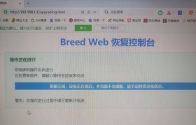 小米刷机后会带来哪些影响？（解析小米刷机后的变化与风险）