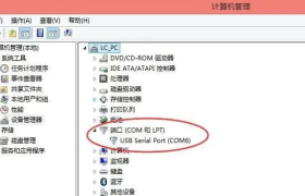 苹果电脑U盘错误提示全攻略：诊断、修复与预防