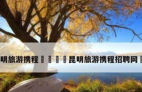 携程国内跟团游的优势与劣势分析（一网打尽，自由与限制并存，适合不同需求）