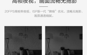 C2C1080P电商平台的发展与影响（探索C2C1080P模式下的电商新趋势）