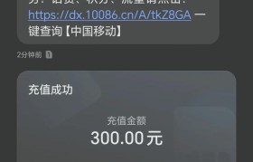 手机停机会带来哪些影响？（解析手机停机对生活、工作和社交的影响及应对方法）
