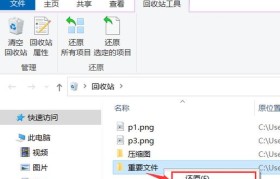 如何为文件夹设置密码保护（简单有效的保护个人文件的方法）