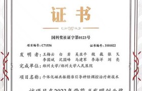国家发明二等奖的重要性与价值（表彰创新成果，促进科技进步的关键举措）
