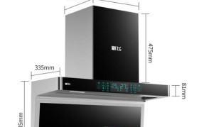 飞鱼星750W（体验超越传统的骑行乐趣）