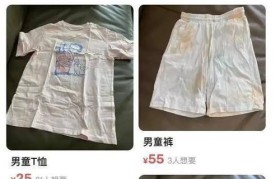 二手物品贩卖的盈利之道（探索二手物品交易市场的商机与挑战）