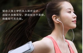 漫步者入耳式耳机（体验无与伦比的音乐享受，让你步入音乐的殿堂）