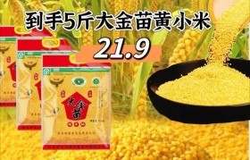 小米5安装Win7教程（详解小米5安装Win7步骤，让你轻松享受Windows操作系统的便利）