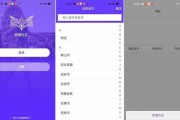 陌陌交友的利与弊（探究陌陌交友的优势和风险，帮助用户更好地利用平台资源）