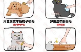 手机主板静电的危害与防范（小心！手机主板静电损坏手机的“隐形杀手”）