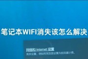 笔记本电脑无法连接互联网的常见问题与解决方法（探究笔记本电脑连接WiFi无法上网的原因及解决方案）