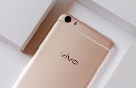 vivo67A（vivo67A）