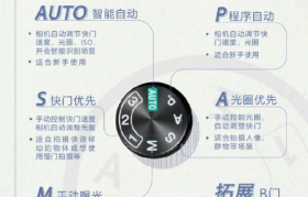 如何拍摄背景模糊效果：相机设置与技巧全攻略