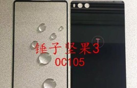 坚果手机销售情况如何？（市场竞争激烈，坚果手机能否取得成功？）