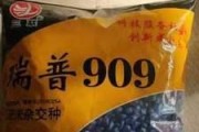 以单县联通为主的通信服务如何满足人们的需求？（了解单县联通，畅享高质量通信体验）