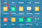 手机版本号查询指南（一键获取手机版本号的方法大揭秘！）