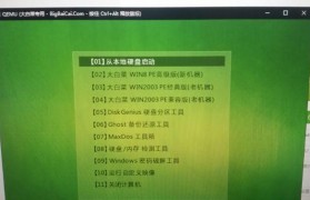 大白菜优盘装机教程（轻松掌握大白菜优盘装机技巧，DIY个性化计算机）