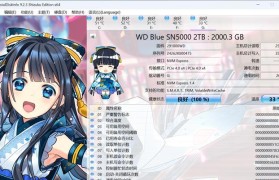 以西部数据蓝盘格式化怎么恢复数据？（教你恢复被格式化的西部数据蓝盘中的数据）