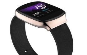 探索Paywatch（从便利性到安全性，Paywatch如何改变我们的支付方式）