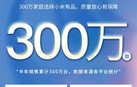 小米众筹产品的品质如何？（探究小米众筹产品的用户评价与市场表现）