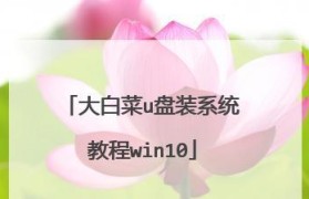大白菜系统安装使用教程（大白菜系统安装、配置、使用全攻略，让您的电脑焕发新生）