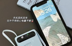揭秘安卓充电接口的多种类型（一起了解安卓充电接口的各种名字和特点）