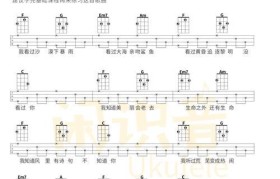 以新白菜U盘制作教程，轻松打造个性化存储工具（从选购到制作，掌握关键步骤一网打尽）