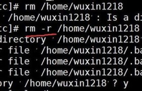 Linux基础命令入门指南（掌握关键的Linux命令，轻松入门Linux操作系统）