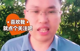 大白菜装机教程（一键安装，轻松拥有高性能电脑）