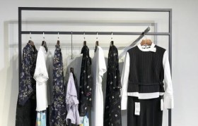 以有性格品牌为主题的探索（性格品牌的魅力与发展趋势）