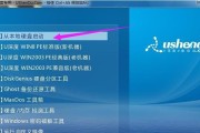 使用ISO制作PE启动U盘装系统教程（一步步教你如何利用ISO镜像文件制作PE启动U盘装系统）
