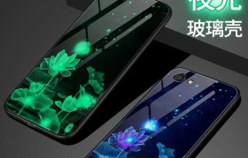 步步高Y67（深入剖析步步高Y67的性能表现与用户体验）