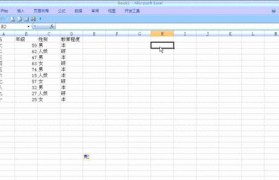 Excel表格筛选功能的使用技巧（快速高效地筛选数据，优化工作效率）