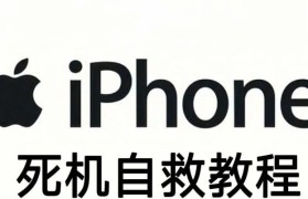 探究苹果手机死机的原因与解决方法（如何引发苹果手机死机并有效解决问题）