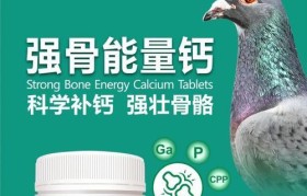 Geled质量如何？——探寻Geled产品的品质保障和用户评价