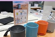 索尼XB950B1耳机的全面评测（体验卓越音质与便捷蓝牙功能的无线耳机）