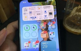 苹果白苹果无法开机的解决方法（解决白苹果无法开机问题的简单步骤）