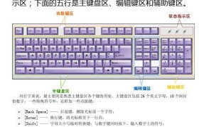 以键盘打字的基本手法（提高打字速度和准确性的关键技巧）