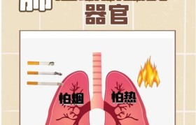 雾霾对肺部的影响及应对措施（探索雾霾侵袭下肺部健康的影响及保护方法）