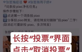 以特别关注为主题的文章（关注细节，发现新视角）