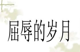 免费软件推荐（方便、高效、免费！一款能满足你所有需求的软件推荐）