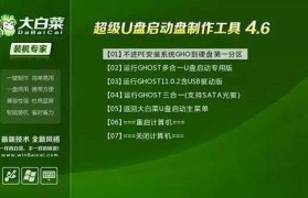 大白菜安装盘使用教程（轻松安装大白菜，享受便捷下载）