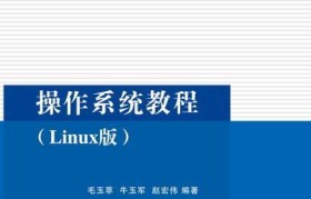 大白菜安装Linux系统教程（以大白菜为主材料，简单易行的安装Linux系统方法）