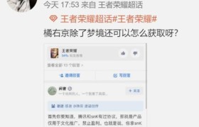 探索橘右京的魅力世界（解密橘右京的游戏背后）