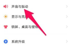 vivo手机如何实现最快的截屏功能（探索vivo手机截屏技巧，体验高效快捷的操作）